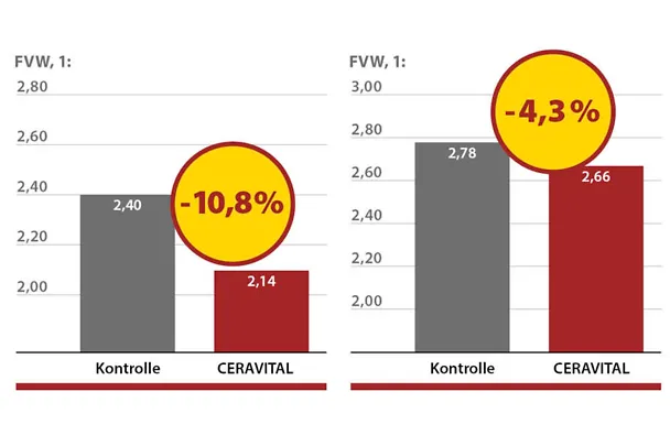 CERAVITAL bei Mastschweinen