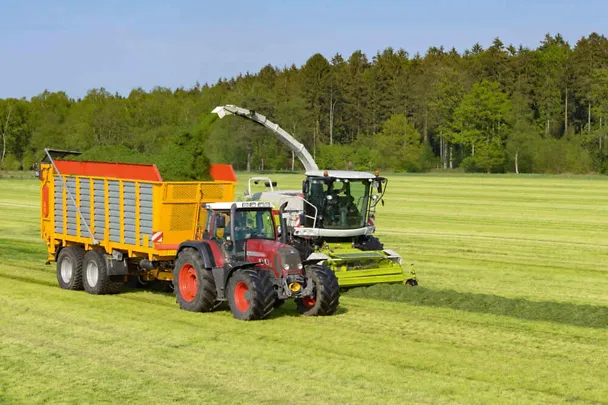 Grassilierung Grassilierung