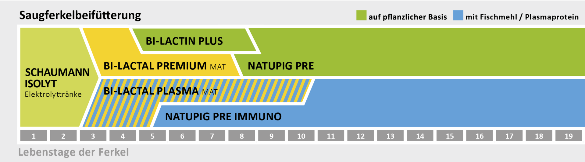 Saugferkelbeifütterung