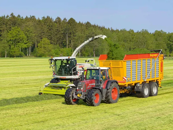 Grassilierung Grassilierung