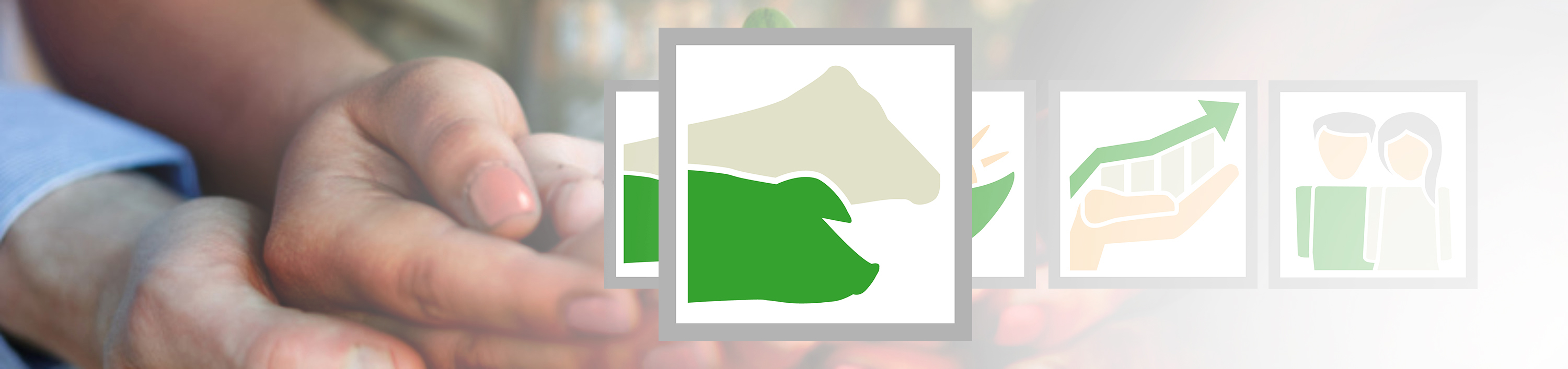 de_fot_54706135_haende_nachhaltigkeit_icons_tierwohl_3000x710px
