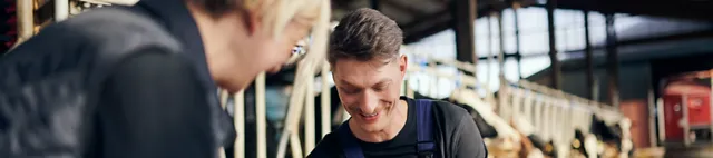 Beratung zwischen zwei Personen zu Rinderfutter auf einem Futtertisch