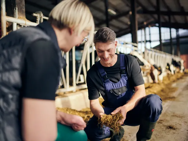Beratung Rinder Futtertisch Beratung Rinder Futtertisch